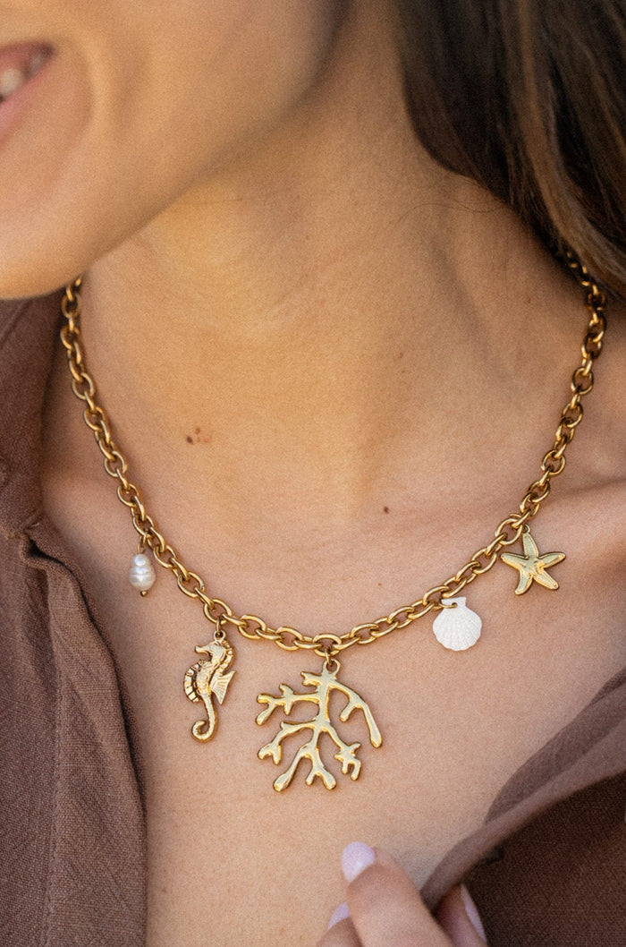 COLLIER JOE