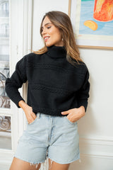 SWEAT CLAIRE - PULL COL ROULE